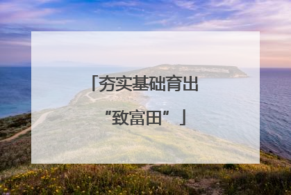 夯实基础育出“致富田”