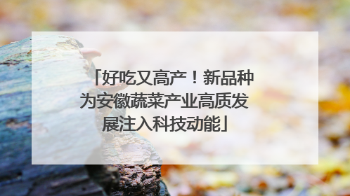 好吃又高产！新品种为安徽蔬菜产业高质发展注入科技动能