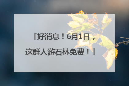 好消息！6月1日，这群人游石林免费！