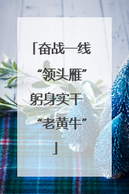 奋战一线“领头雁” 躬身实干“老黄牛”