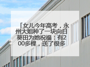 女儿今年高考，永州大姐种了一块向日葵田为她祝福：有200多棵，送了很多给其他家长