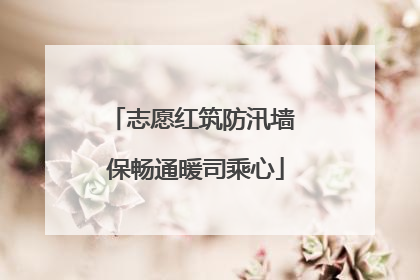 志愿红筑防汛墙 保畅通暖司乘心