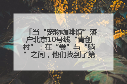 当“宠物咖啡馆”落户北京10号线“青创村”：在“卷”与“躺”之间，他们找到了第三种生活公式