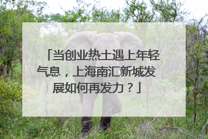 当创业热土遇上年轻气息，上海南汇新城发展如何再发力？