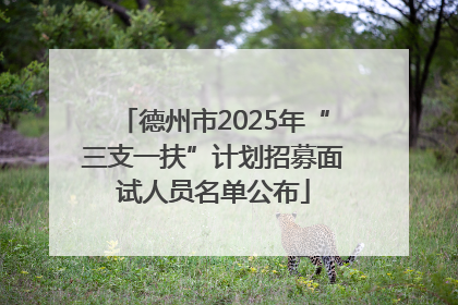 德州市2025年“三支一扶”计划招募面试人员名单公布