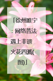 徐州睢宁：网络普法遇上非遗 火花四溅(图)