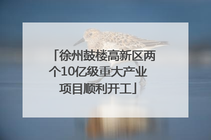 徐州鼓楼高新区两个10亿级重大产业项目顺利开工