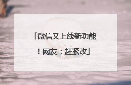 微信又上线新功能！网友：赶紧改