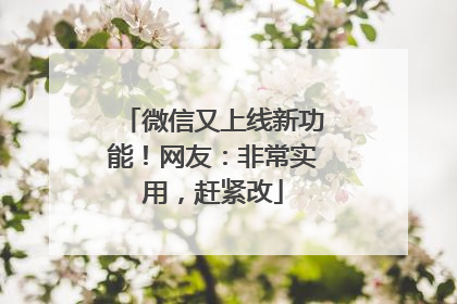 微信又上线新功能！网友：非常实用，赶紧改