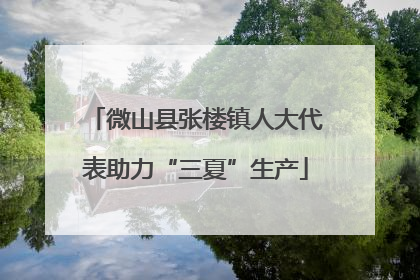微山县张楼镇人大代表助力“三夏”生产
