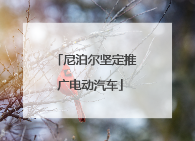 尼泊尔坚定推广电动汽车