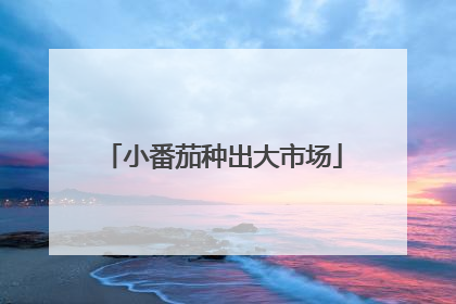 小番茄种出大市场