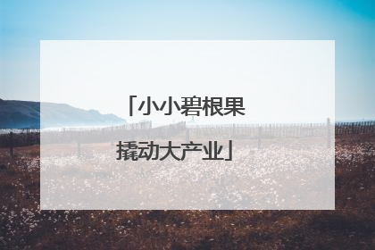 小小碧根果撬动大产业
