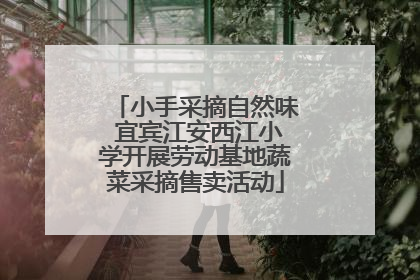 小手采摘自然味 宜宾江安西江小学开展劳动基地蔬菜采摘售卖活动