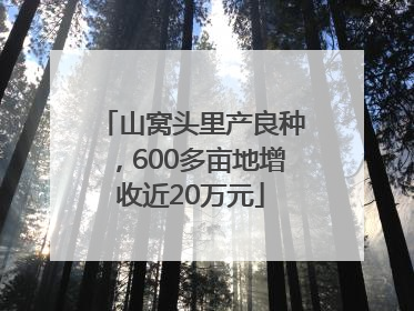 山窝头里产良种，600多亩地增收近20万元