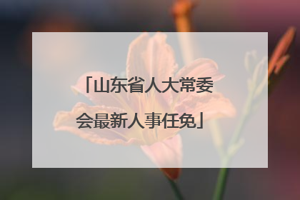 山东省人大常委会最新人事任免