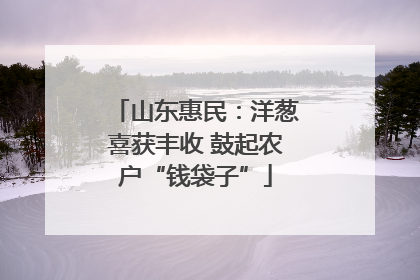 山东惠民：洋葱喜获丰收 鼓起农户“钱袋子”