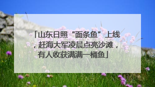 山东日照“面条鱼”上线，赶海大军凌晨点亮沙滩，有人收获满满一桶鱼
