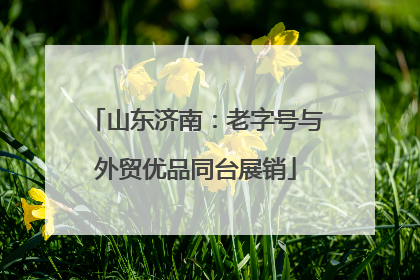 山东济南：老字号与外贸优品同台展销