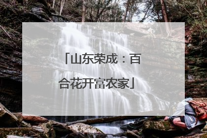 山东荣成：百合花开富农家