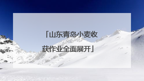 山东青岛小麦收获作业全面展开
