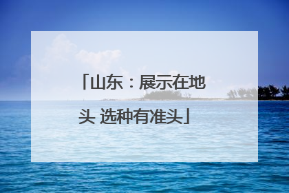 山东：展示在地头 选种有准头