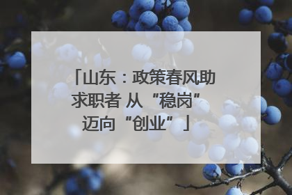 山东：政策春风助求职者 从“稳岗”迈向“创业”