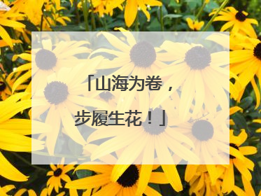 山海为卷，步履生花！
