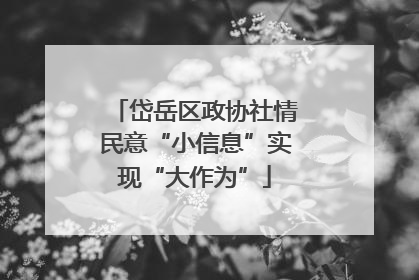 岱岳区政协社情民意“小信息”实现“大作为”
