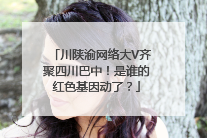 川陕渝网络大V齐聚四川巴中！是谁的红色基因动了？
