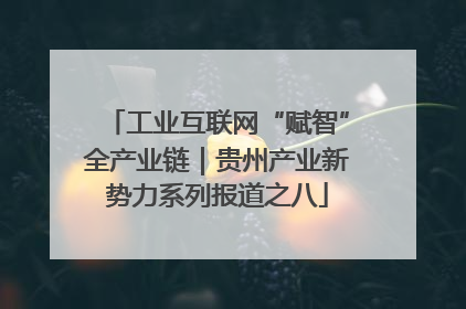 工业互联网“赋智”全产业链｜贵州产业新势力系列报道之八