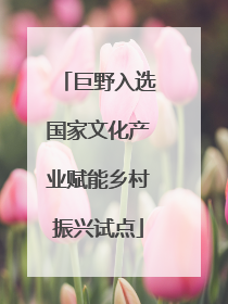巨野入选国家文化产业赋能乡村振兴试点