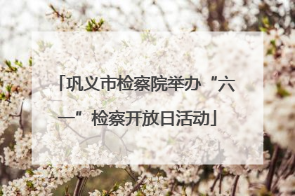 巩义市检察院举办“六一”检察开放日活动