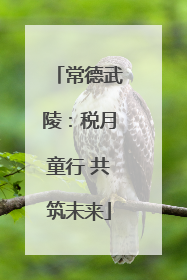 常德武陵：税月童行 共筑未来