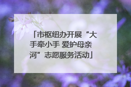 市枢纽办开展“大手牵小手 爱护母亲河”志愿服务活动