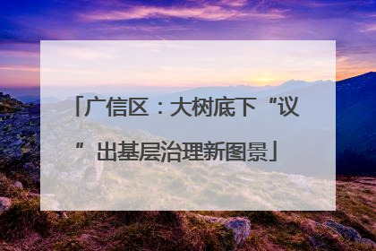 广信区：大树底下“议”出基层治理新图景