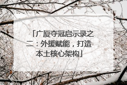 广厦夺冠启示录之二：外援赋能，打造本土核心架构