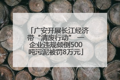 广安开展长江经济带“清废行动” 一企业违规倾倒500吨污泥被罚8万元