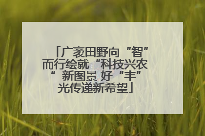 广袤田野向“智”而行绘就“科技兴农”新图景 好“丰”光传递新希望