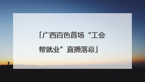 广西百色首场“工会帮就业”直播落幕