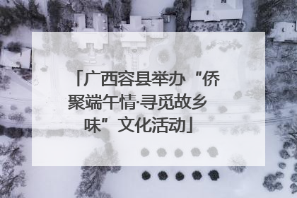 广西容县举办“侨聚端午情·寻觅故乡味”文化活动
