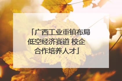 广西工业重镇布局低空经济赛道 校企合作培养人才