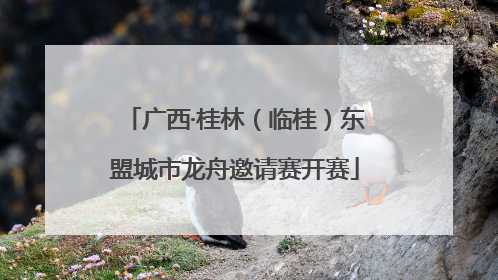 广西·桂林（临桂）东盟城市龙舟邀请赛开赛