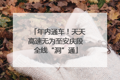 年内通车！天天高速无为至安庆段全线“洞”通