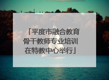 平度市融合教育骨干教师专业培训在特教中心举行