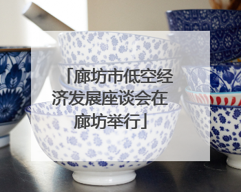 廊坊市低空经济发展座谈会在廊坊举行