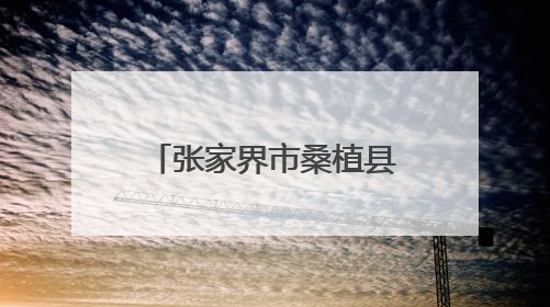 张家界市桑植县走马坪白族乡：“三个保障”筑牢防汛安全堤