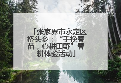 张家界市永定区桥头乡：“手挽春苗，心耕田野”春耕体验活动