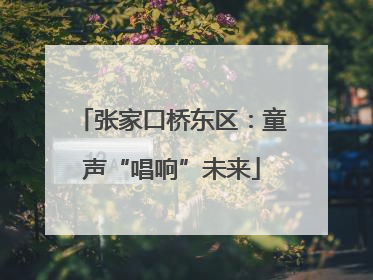 张家口桥东区：童声“唱响”未来