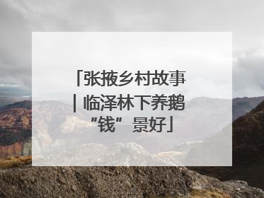 张掖乡村故事｜临泽林下养鹅“钱”景好